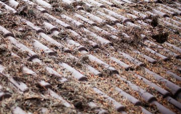 Talbot Heath roof cleaning companies