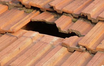 roof repair Talbot Heath, Dorset