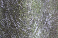 Talbot Heath fibreglass roof work