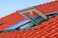 Talbot Heath roof window